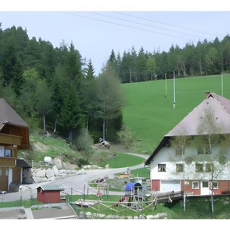 Hinterhauensteinhof Villa Hornberg Exteriör bild