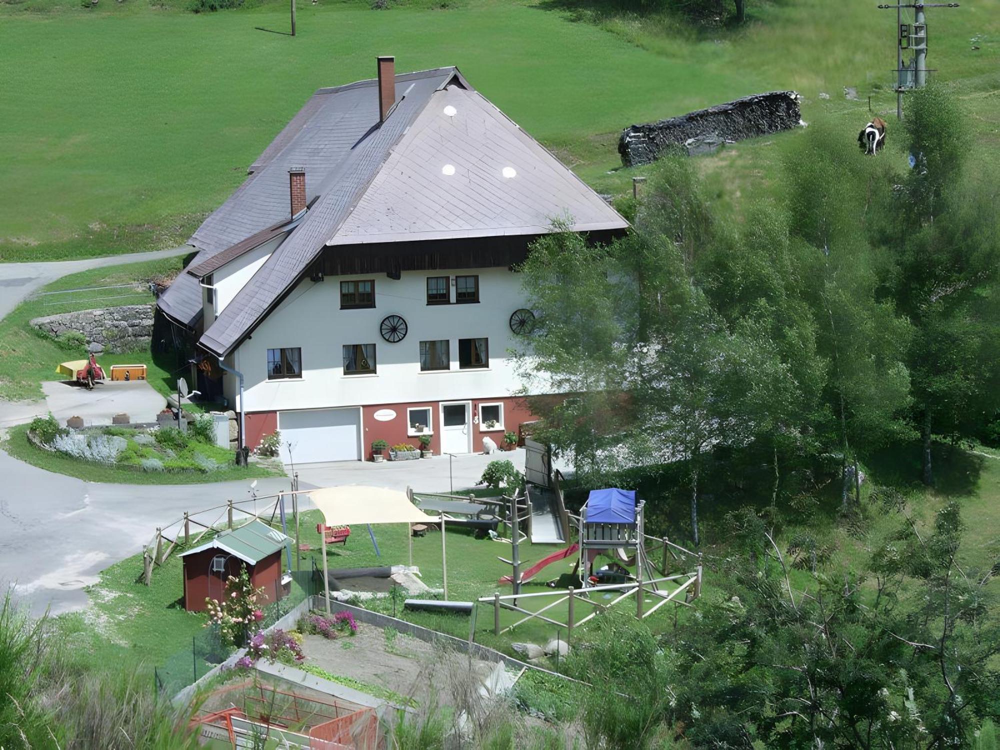 Hinterhauensteinhof Villa Hornberg Exteriör bild