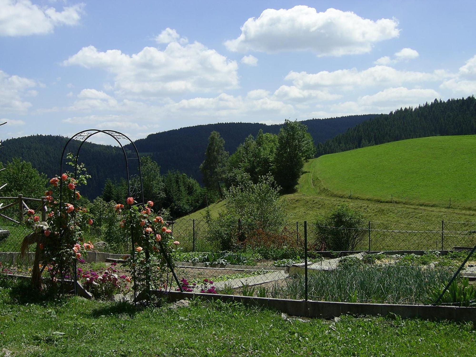 Hinterhauensteinhof Villa Hornberg Exteriör bild